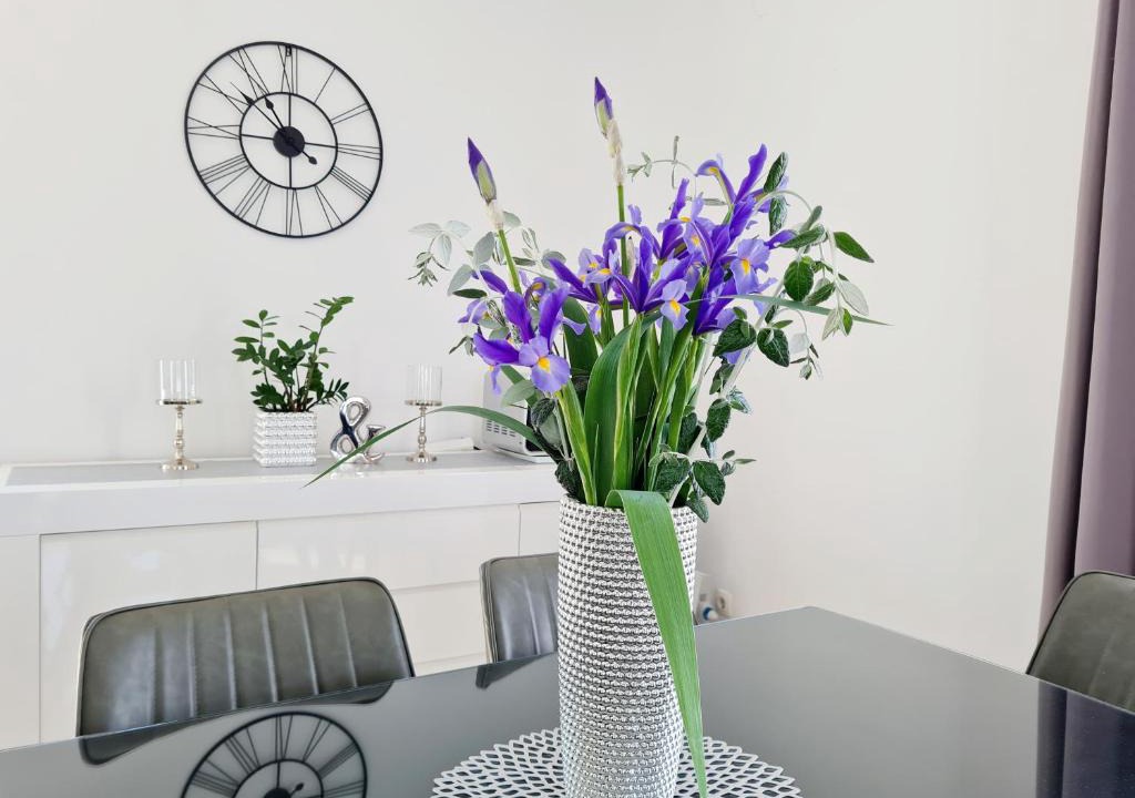 Susica Apartment | Apartment in Murter