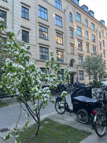 København V Apartment | Apartment in the heart of Vestebro