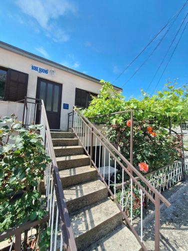 Ston Apartment | Apartment Ivica