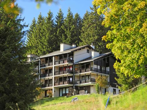 Alpe des Chaux Apartment | Apartment Les Petites Maraîches 132-389 by Interhome