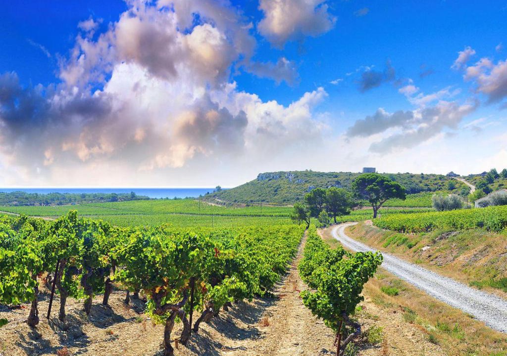 Narbonne Apartment | Apartment Les Vendanges by Interhome