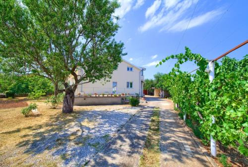 Milovcici Apartment | Apartment Lipovac