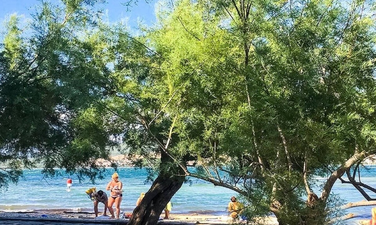 Donji Karin Apartment | Apartment Niko - 40m from the beach: A1(2+2) - Donji Karin, Zadar riviera, Croatia