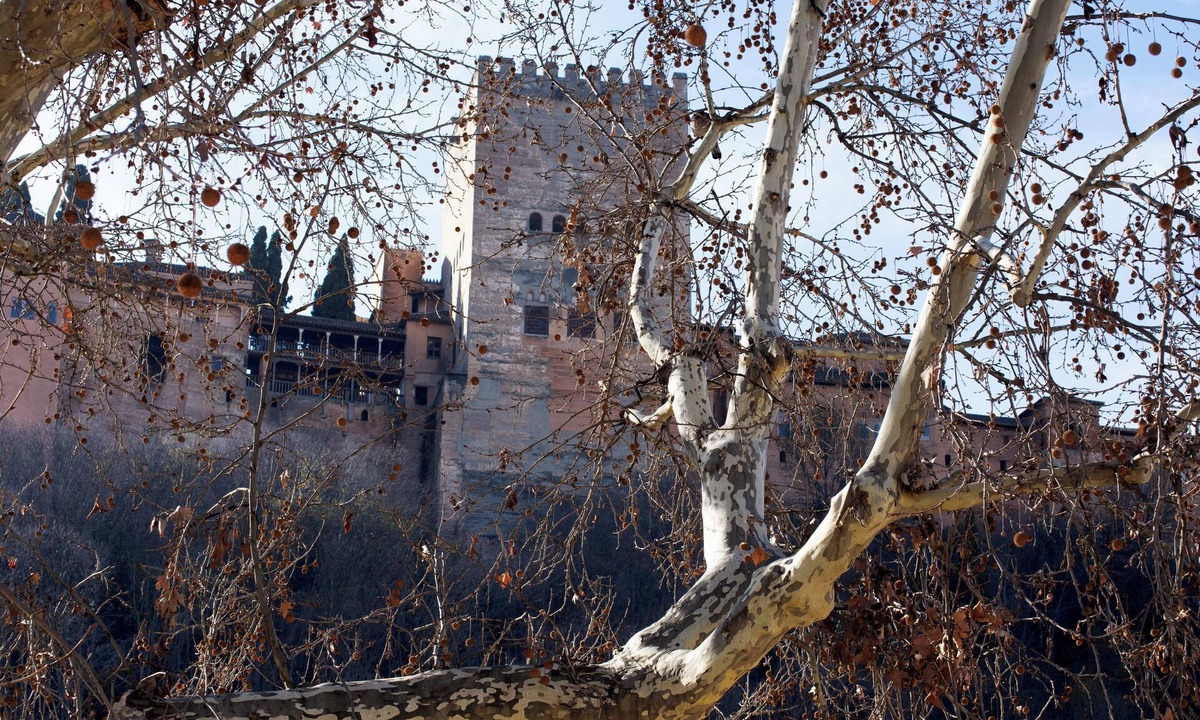 San Pedro Apartment | Apartment on the Alhambra's Front Line, Paseo de los Tristes. Free Parking
