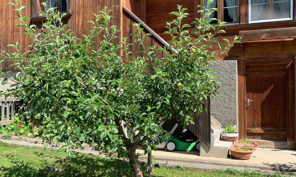 Gadmen Apartment | Apartment on the farm