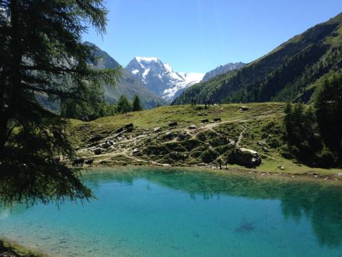 Arolla Apartment | Apartment Panorama