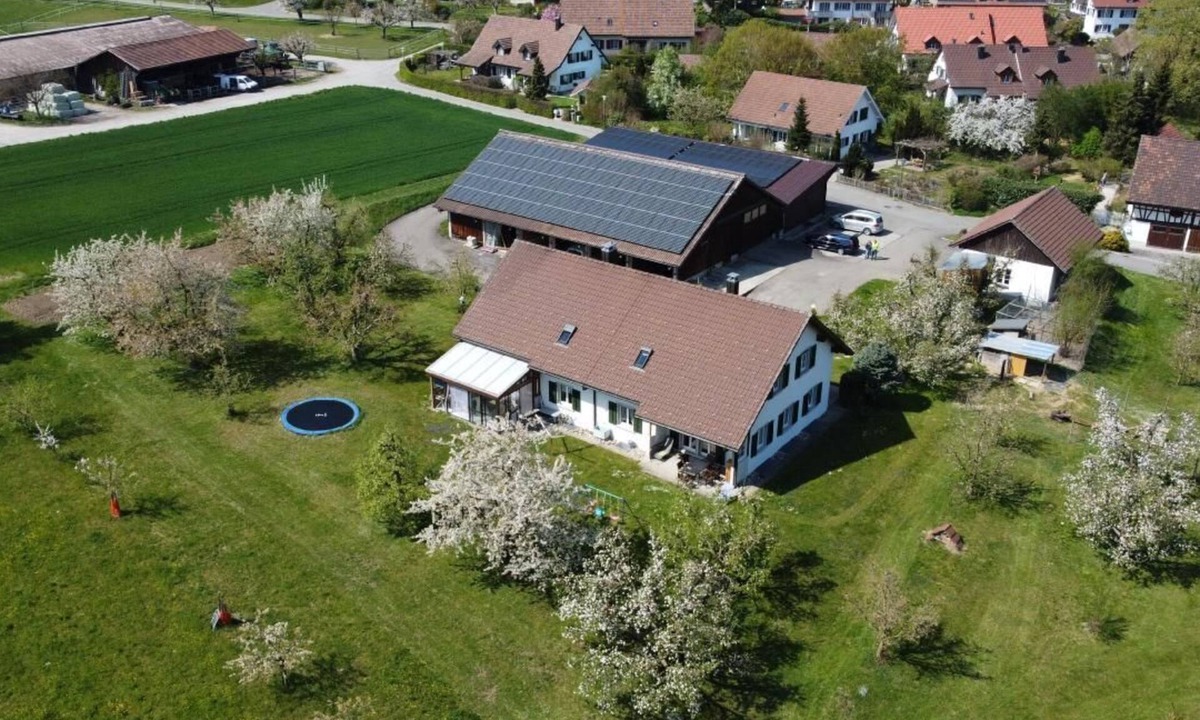 Andelfingen District Other | Apartment "Pünthof" on the farm
