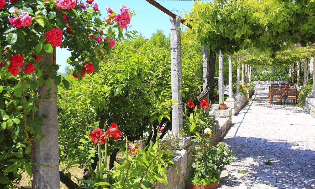Orasac House | Apartment & Rooms Savonari