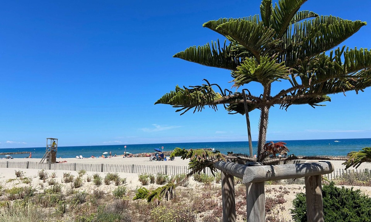 Saint-Cyprien Apartment | Apartment Saint-Cyprien, 1 bedroom, 6 persons