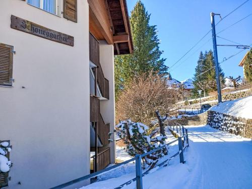Wengen Apartment | Apartment Schoneggacher Apt- S by Interhome