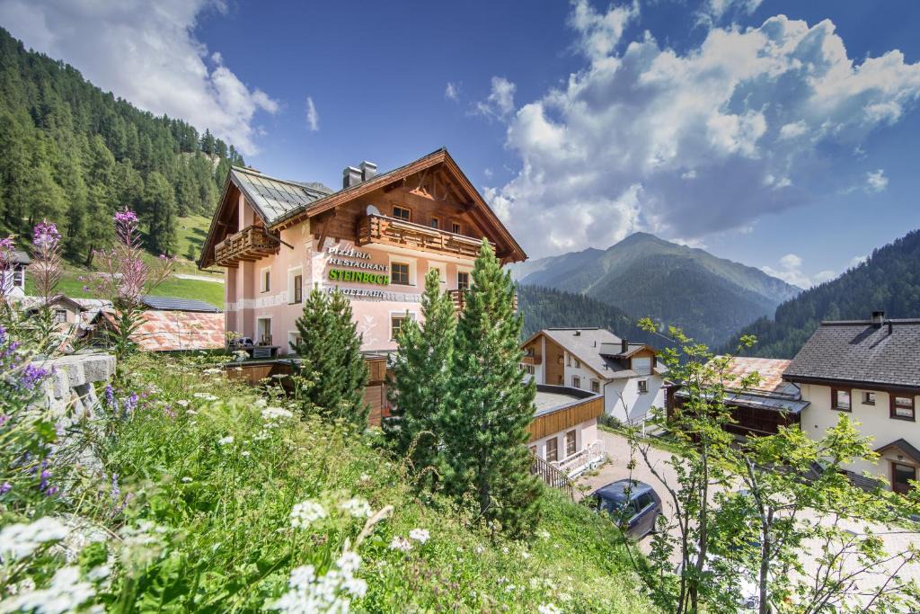 Ravaisch Apartment | Apartment Steinbock