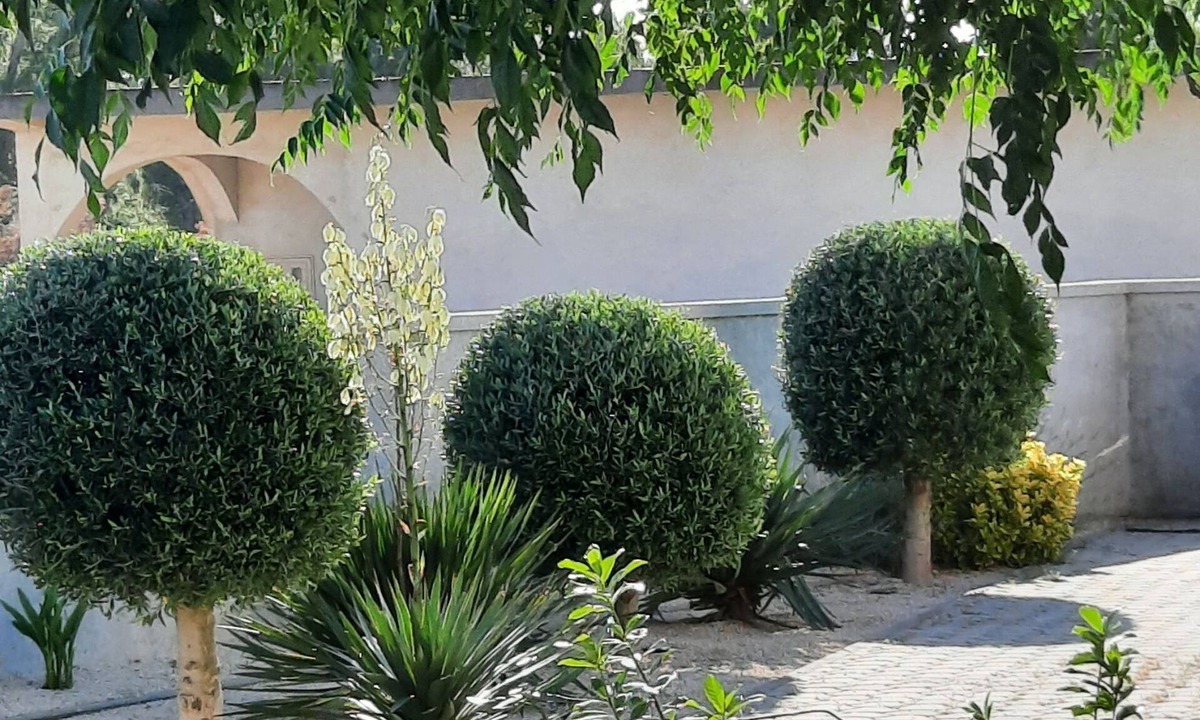Vrsi Apartment | Apartment Stella Casa Bruno