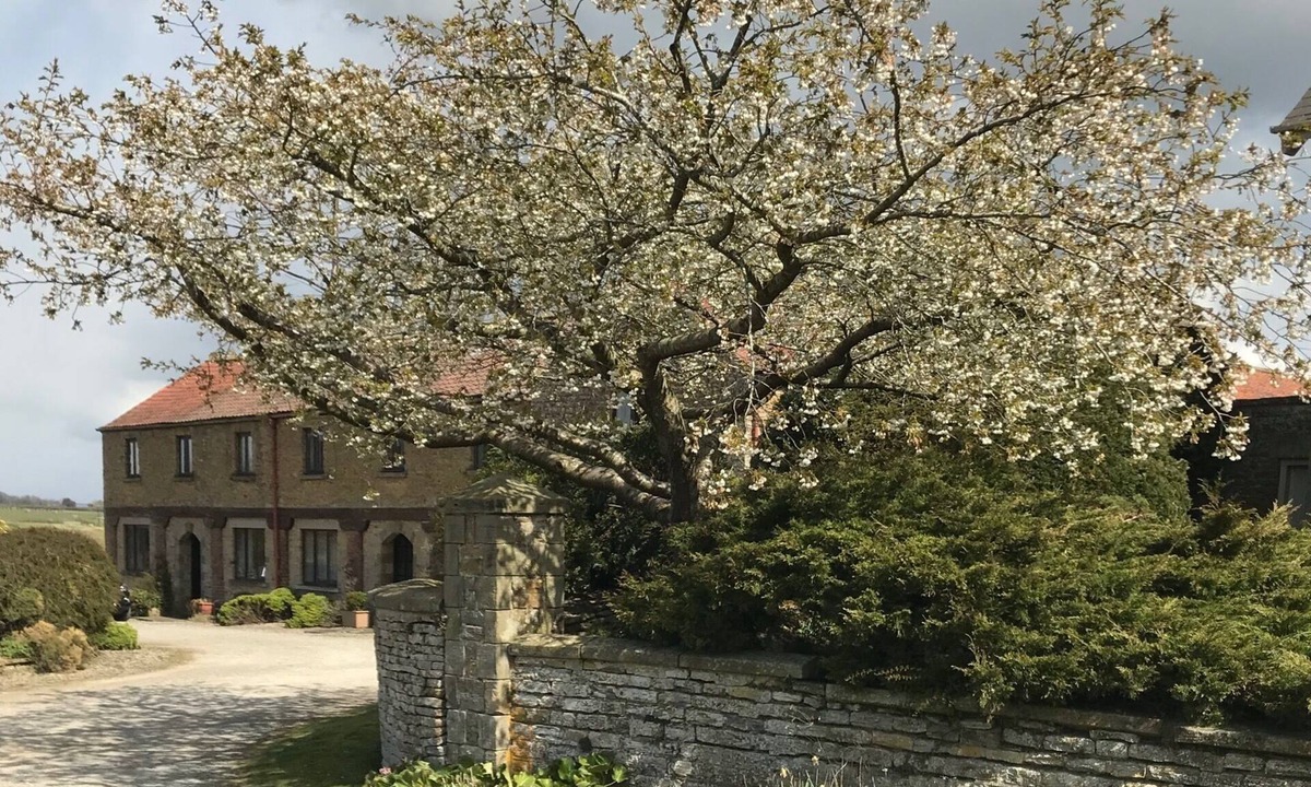 Grimstone Apartment | Apartment Valerian - Sunset Cottages