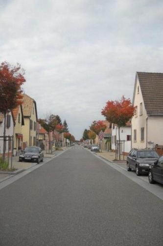 Kunheim Apartment | Apartment Wohnung am Rheinufer in Kunheim by Interhome