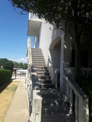 Povljana Apartment | Apartment Zdenka