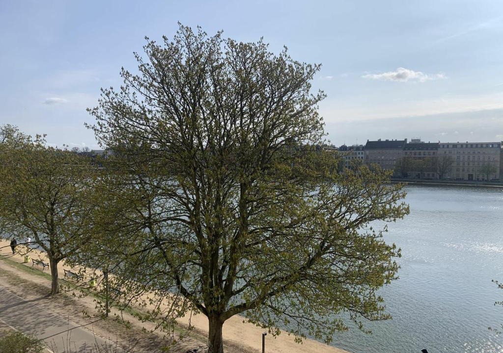 Norrebro Apartment | ApartmentInCopenhagen Apartment 1454