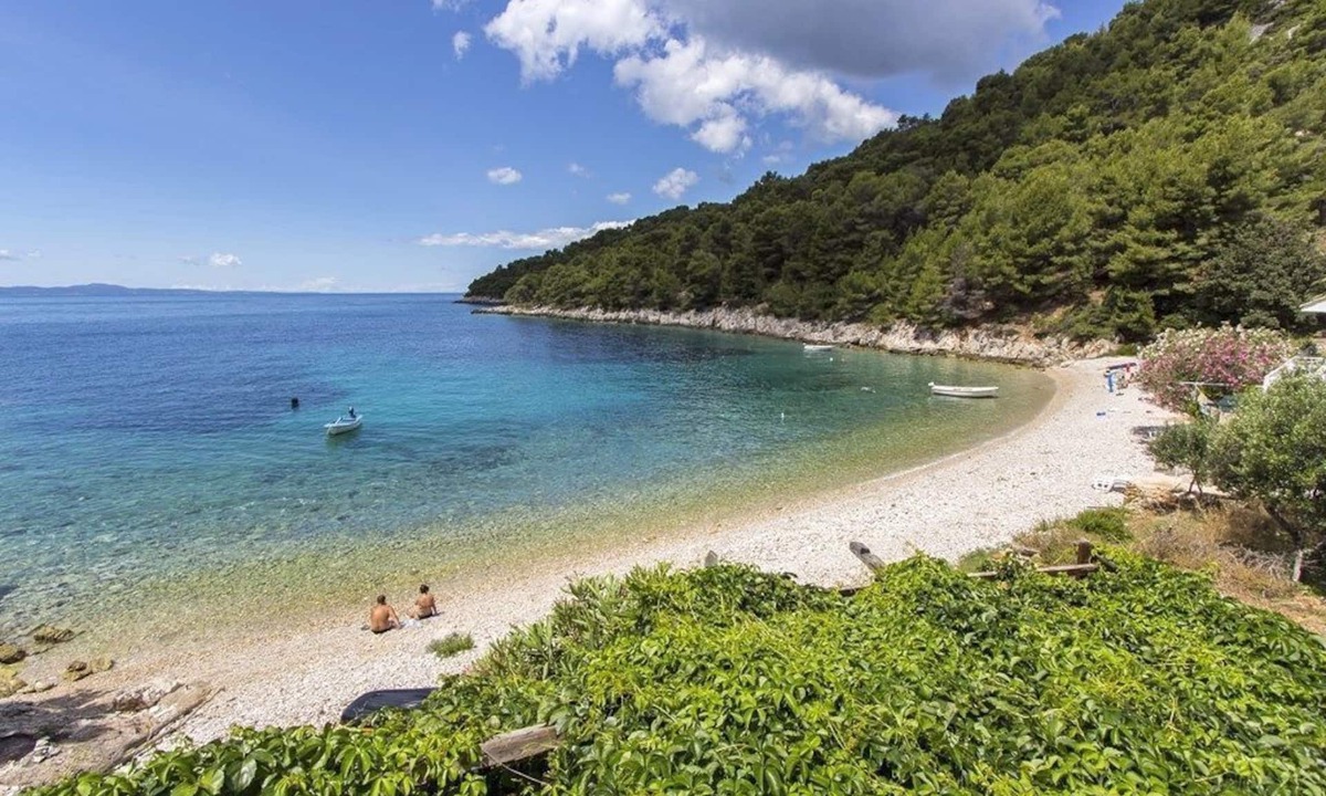 Gdinj Apartment | Apartments Željko (46931-A3) - Gdinj - island Hvar
