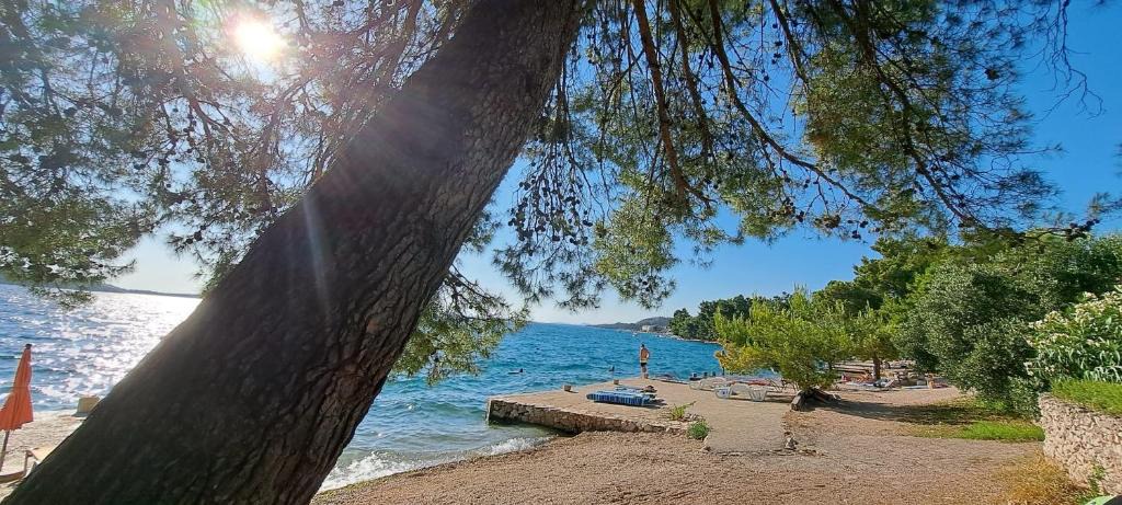Zaboric Apartment | Apartments Ana Žaborić, 50 m od šljunčane plaže
