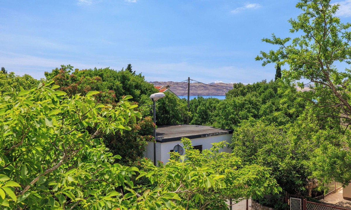 Ribarica Apartment | Apartments Bono (95351-A1) - Karlobag