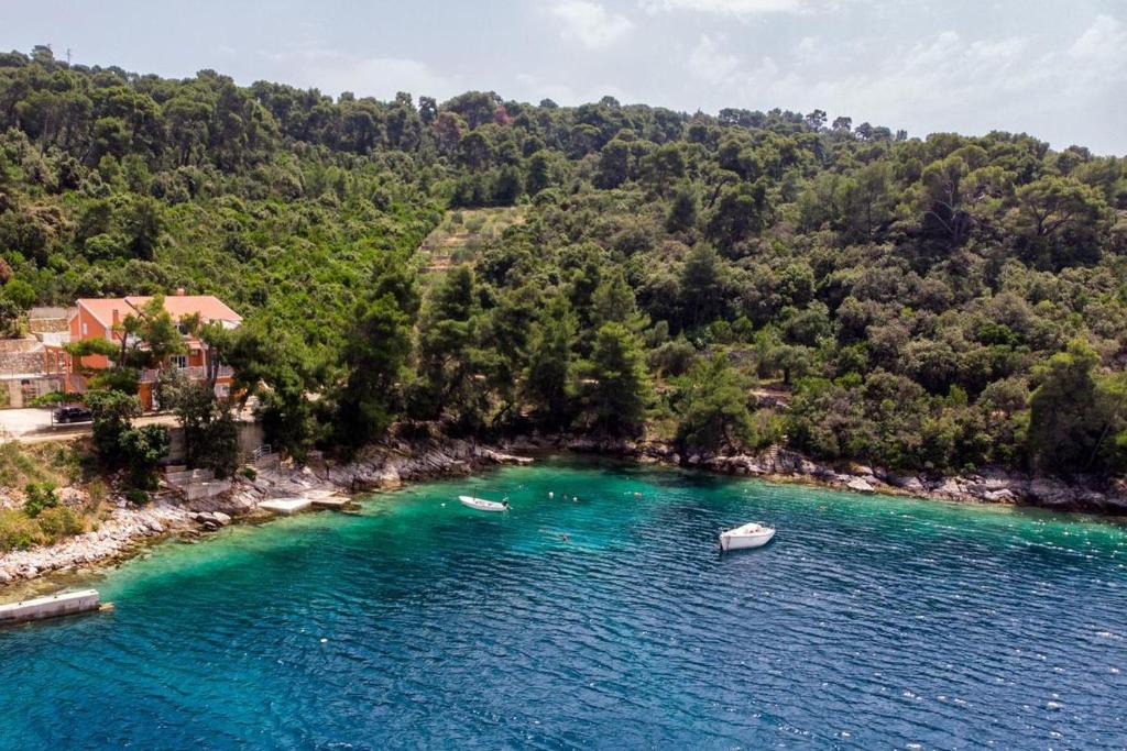 Brna Apartment | Apartments by the sea Brna, Korcula - 9159