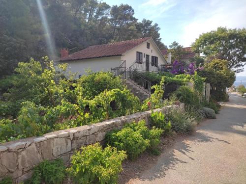 Zastrazisce Apartment | Apartments by the sea Cove Vela Stiniva, Hvar - 19951