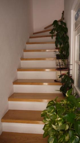 Makarska Old Town Apartment | Apartments Jakova Dudana 10