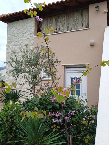 Brasina Apartment | Apartments Karoma