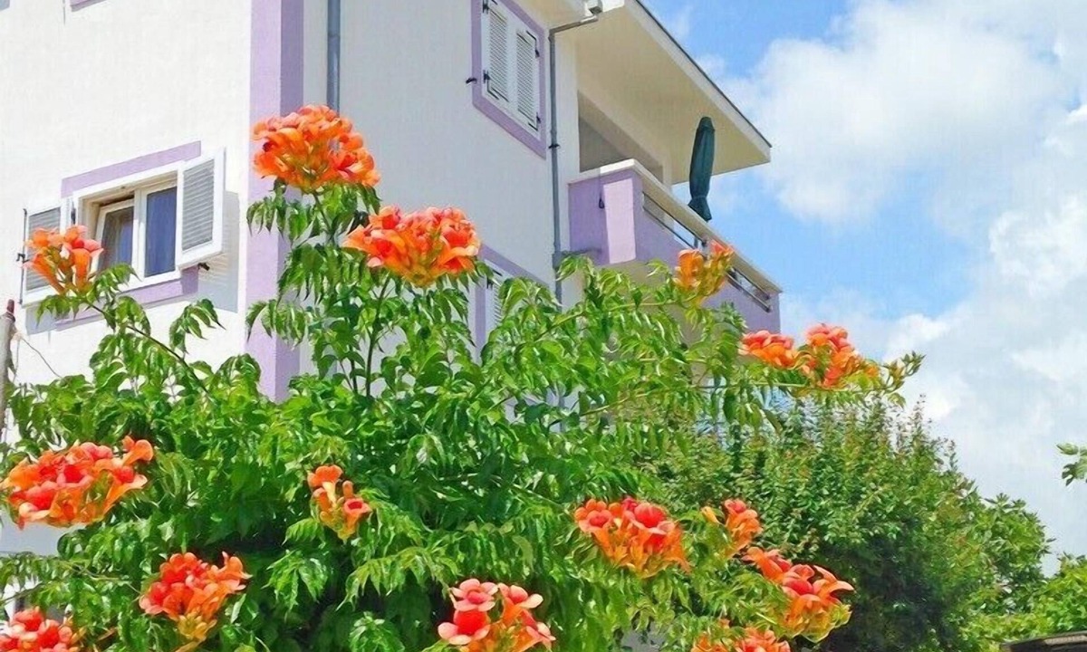 Vinisce Apartment | Apartments Ljiljana, (14586), Vinišce, hr