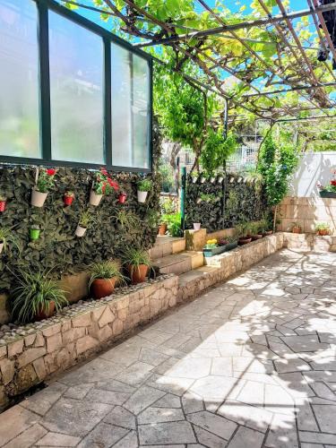 Babin Kuk Apartment | Apartments Marin Tomas