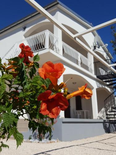 Starigrad Apartment | Apartments Merion