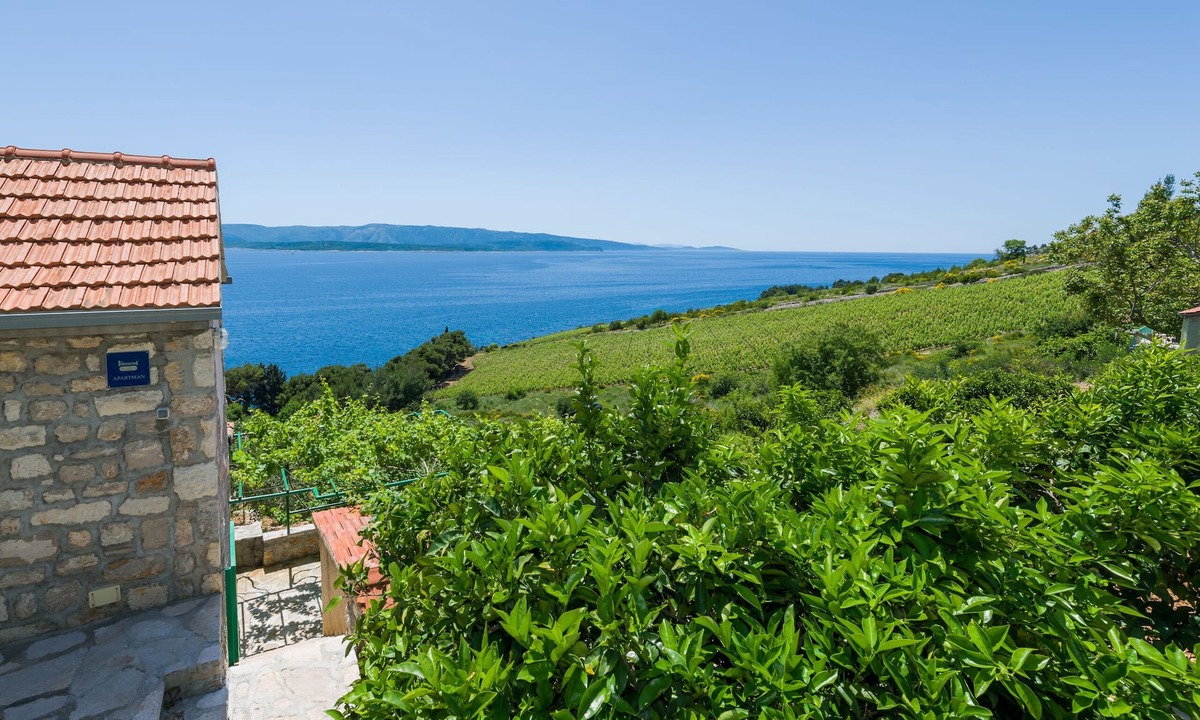 Murvica Apartment | Apartments Nada (97951-A3) - Bol - island Brac