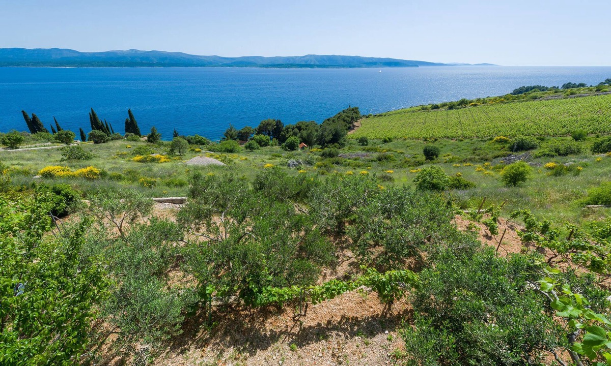 Murvica Apartment | Apartments Nada (97951-A4) - Bol - island Brac
