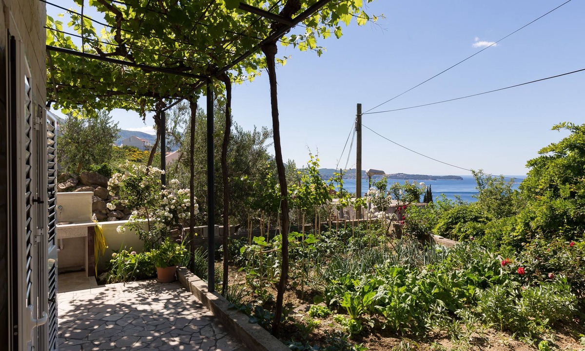 Mlini Apartment | Apartments Olive