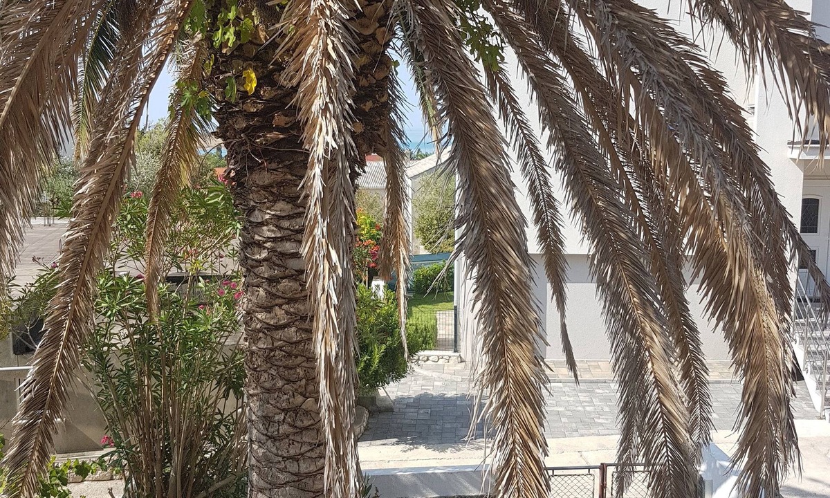 Novalja Hotel | Apartments Smoky