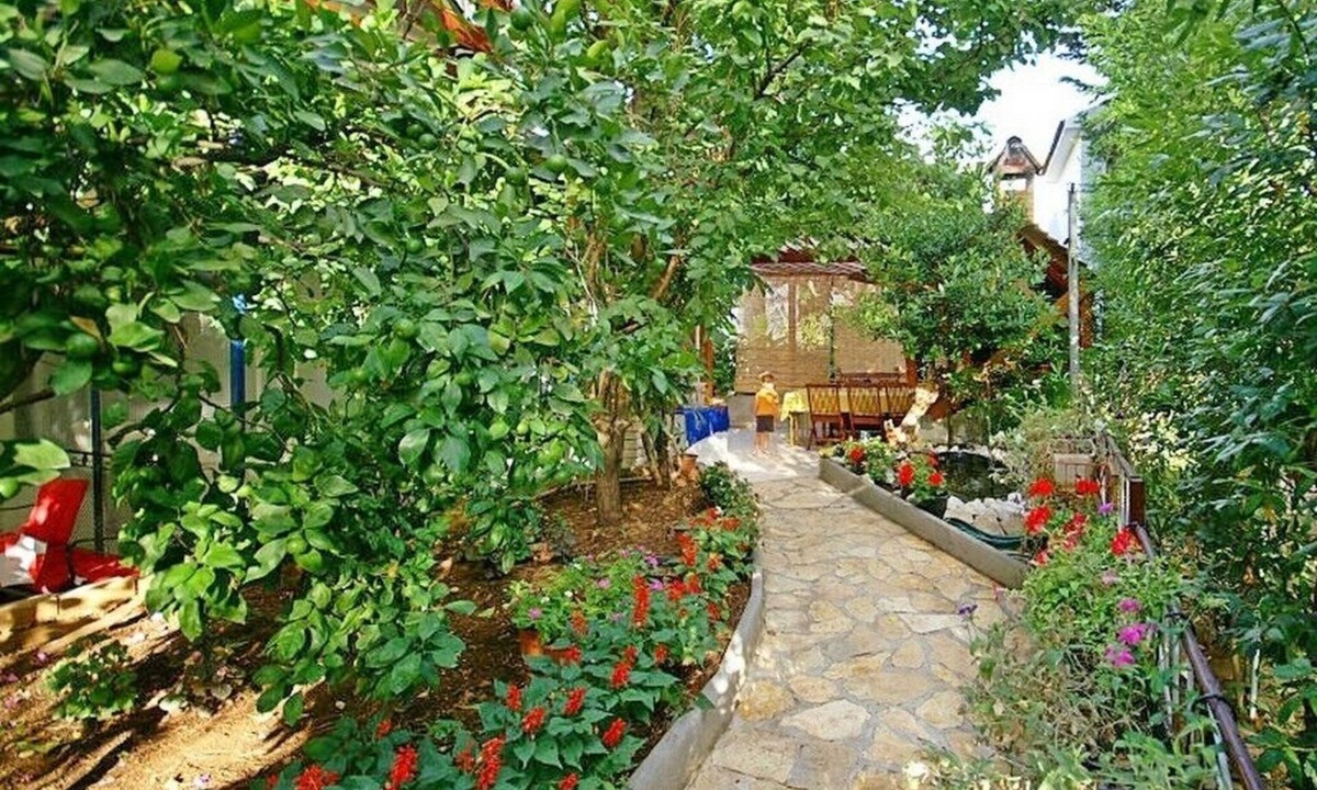 Petrcane Apartment | Apartments Vesela, (3004), Petrcane, hr