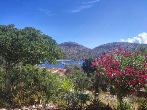 Skrivena Luka Apartment | Apartments Vesna