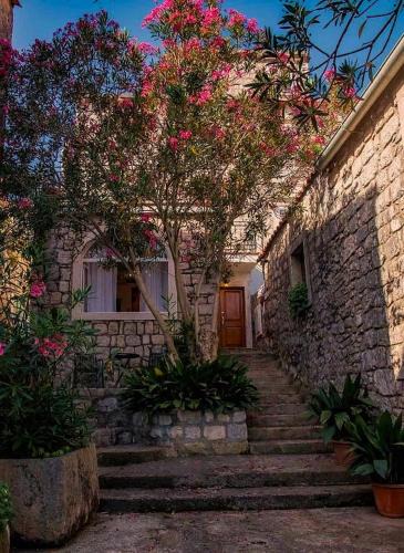 Mali Ston Apartment | Apartments Villa Cardo