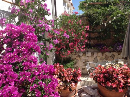 Brsec Apartment | Apartments Villa Ina