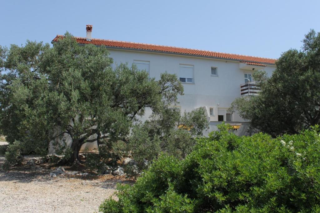 Bozava Apartment | Apartments with parking space Bozava, Dugi otok - 8123