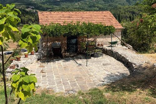 Konavle Apartment | Apartments with parking space Gruda, Dubrovnik - 24966