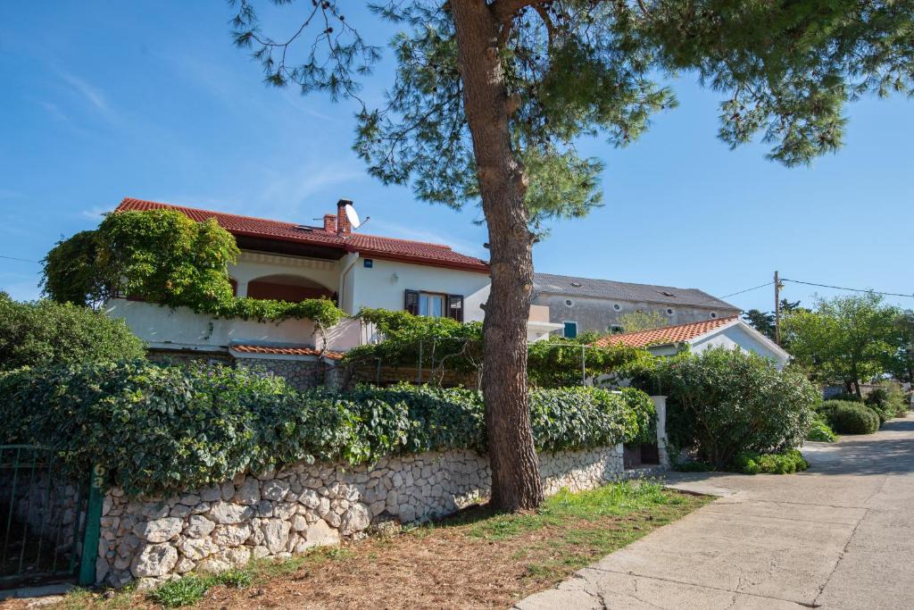 Molat Apartment | Apartments with parking space Molat - 6249