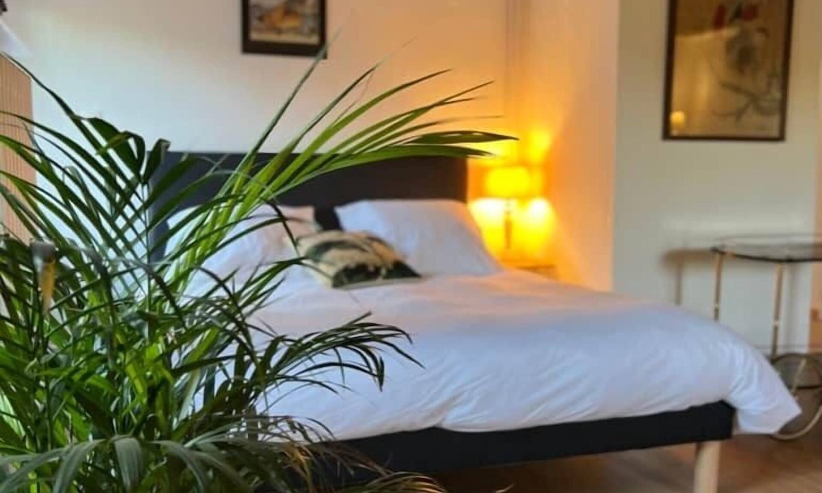 Rurange-les-Thionville Apartment | Appart 6, sous-combles