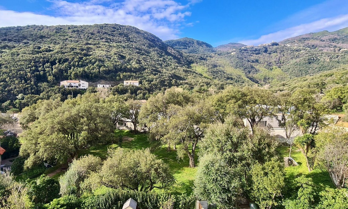 Figarella Apartment | Appart. 6 Pers. vue Mer/montagne