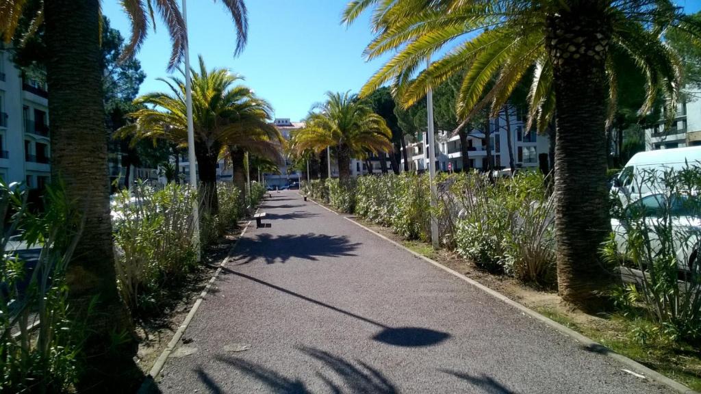 Moulin a Vent Apartment | APPART NEUF 74m2 proche piscine et parc des sports