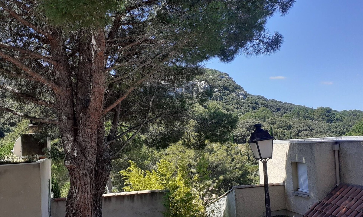 Paradou Apartment | Appartement Dans les Alpilles