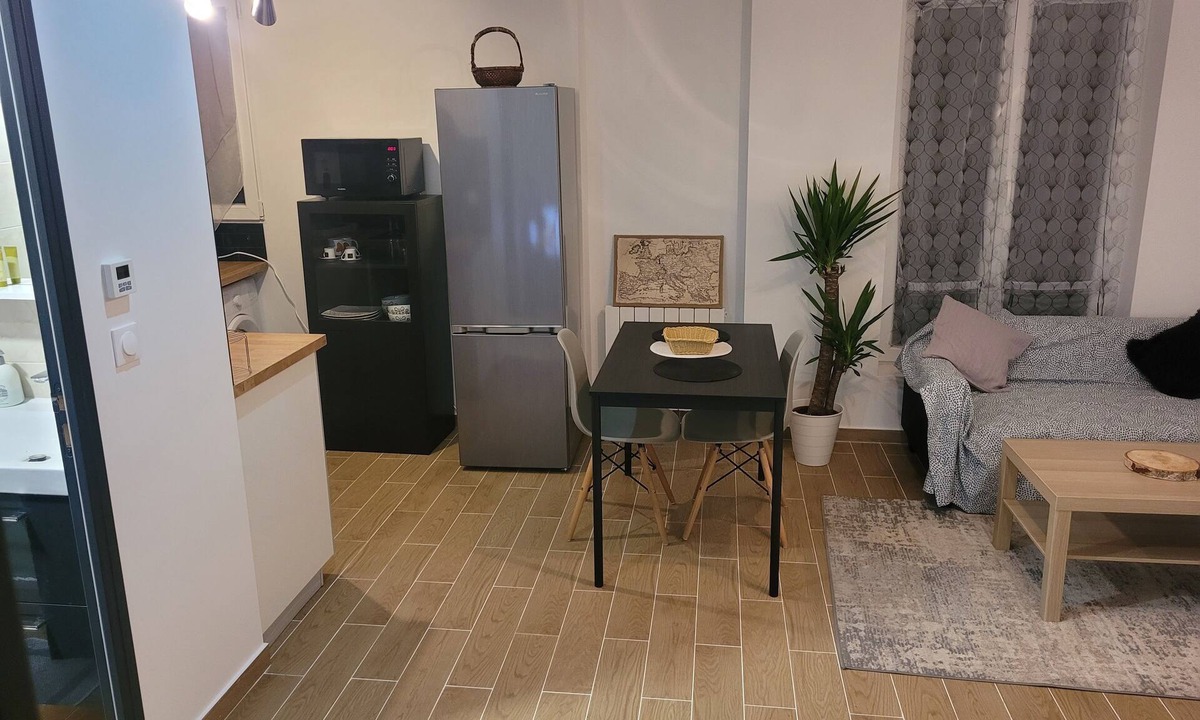 Centre Apartment | Appartement à 15 mn en Train de Paris et à 20 mn en Voiture de L'aéroport Roissy