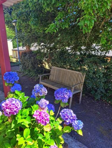La Salvetat-sur-Agout Apartment | Appartement à 200 m du lac de la Raviège