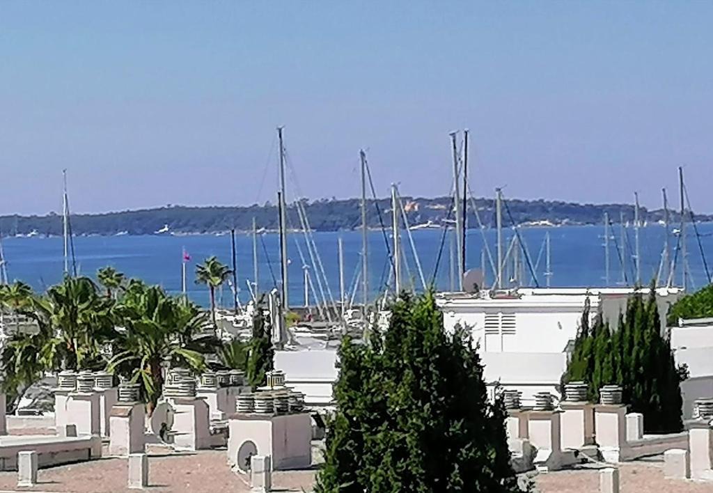 Golfe Juan Apartment | Appartement 1 pièce Golfe Juan Front de mer