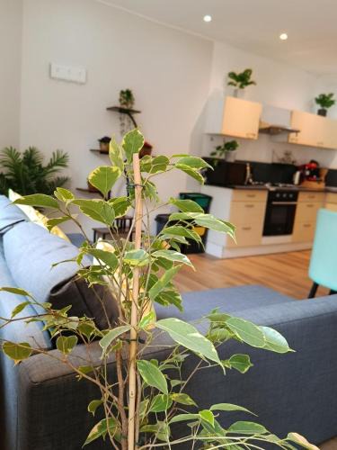 Aubigny-sur-Nere Apartment | Appartement 2