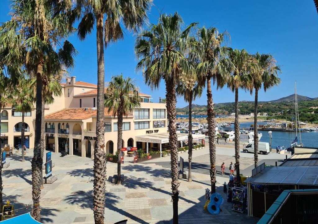 Plage d'Argeles Apartment | Appartement 2P cabine, 100m plage, terrasse, parking - Argelès-sur-Mer - FR-1-388-94